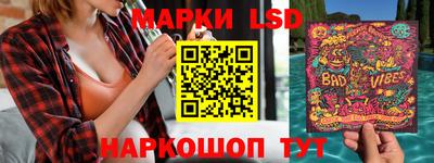 индика Ставрополь