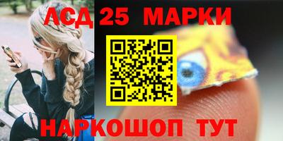 индика Ставрополь