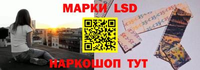 индика Ставрополь