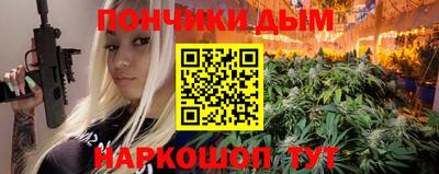 индика Ставрополь