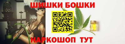 индика Ставрополь
