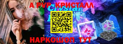 индика Ставрополь