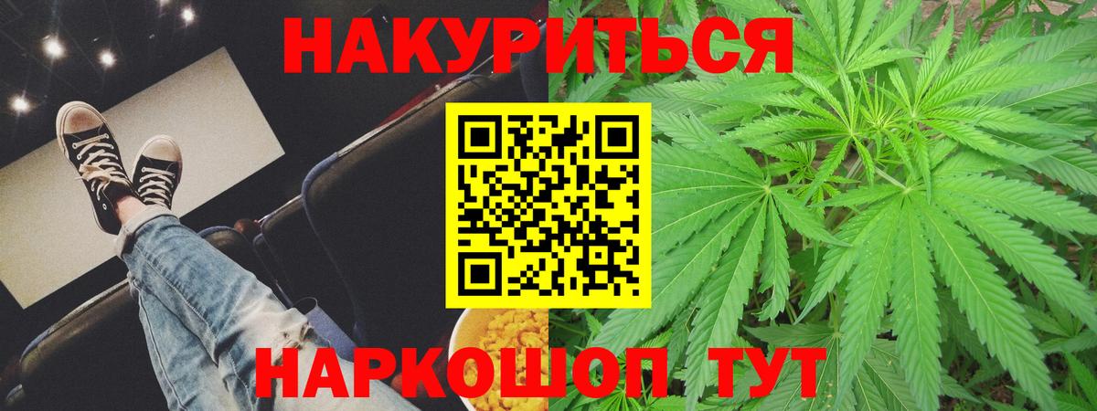 Канабис сатива Оренбург